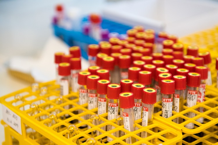 dsc 5390 | WebJET CMS