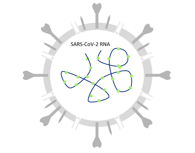 63 pcr icon | WebJET CMS